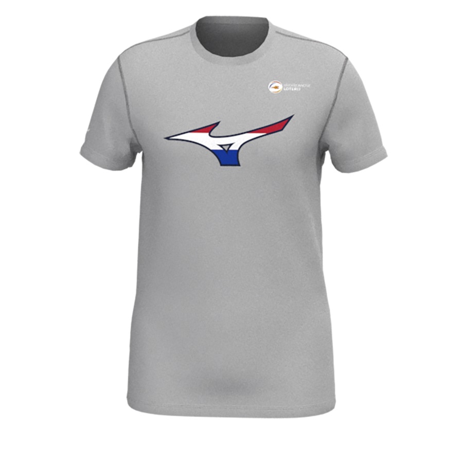 Grey Men\'s Mizuno Nevobo Nederland T-Shirts | Philippines-803472