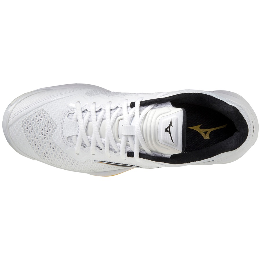 White Men's Mizuno Wave Stealth V Handball Shoes | Philippines-017524