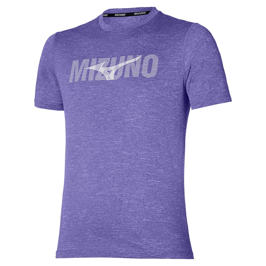 Purple Blue Men's Mizuno Core Mizuno Tee | Philippines-536871